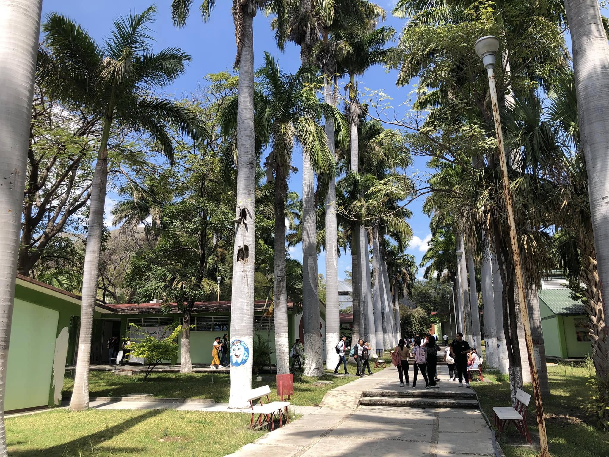 Área Psicopedagógica ENRM